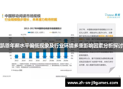 凯恩年薪水平偏低现象及行业环境多重影响因素分析探讨